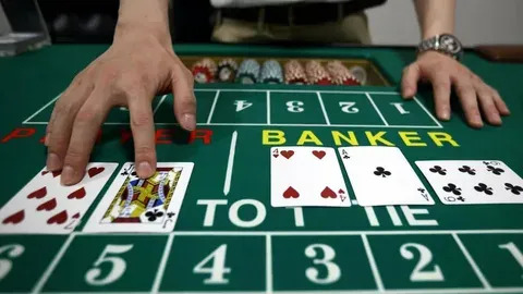 aplicativo de cassino ao vivo 