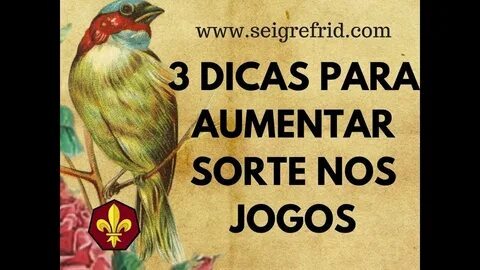 aviator casino como ganar 