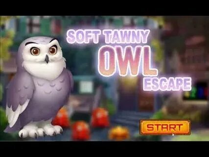 bingo online 75 bolas gratis 