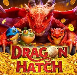 melhores site de apostas online 