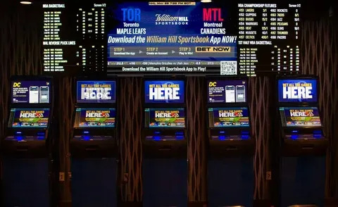 motivação para cassino online 