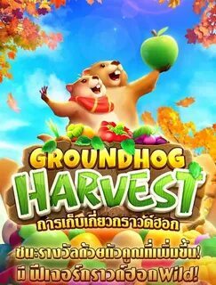 palpites apostas ufc 